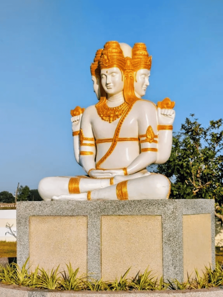 26